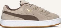 beige puma lage sneakers suede xl